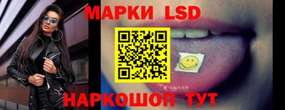 стафф Дубна
