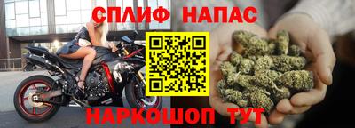 стафф Дубна