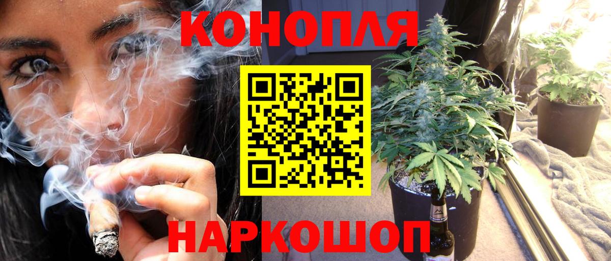 Марихуана планчик Курчатов